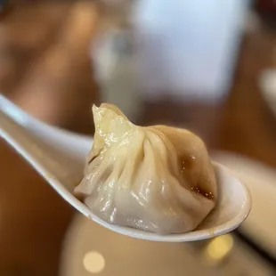 C1. Steamed Juicy Dumplings