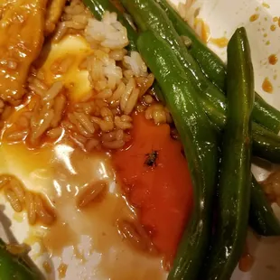 Girlfriend found this in her dinner. Thanks Dragon 2. Disgusting.