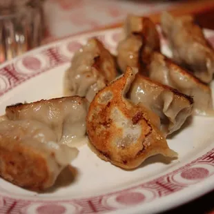 Fried Meat Dumplings