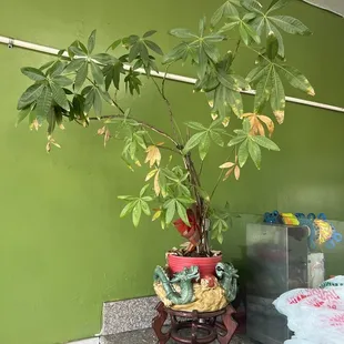 Decor