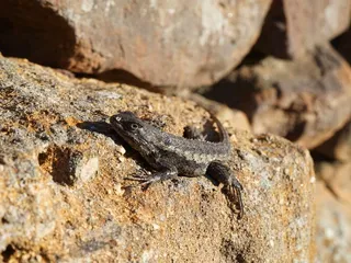 Twelve Hills Nature Center