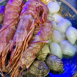 Large Argentinian shrimp, clams, and scallops.