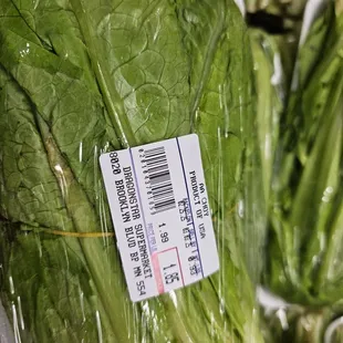 So many greens!! The more varied the diet, the healthier the gut microbiome. This store has variety!