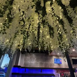 white flowers hanging from the ceiling