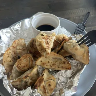 Pan Fried Dumplings