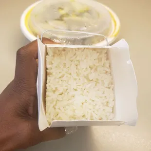 Rice comes with the entree