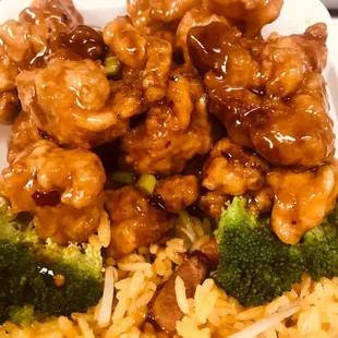 a plate of food with rice and broccoli