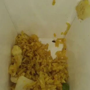 ROACHES IN THE FOOD!!!! DON'T EAT HERE