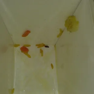 DEAD ROACHES IN THE FOOD DRAGON WOK PLEASE DON'T EAT HERE NASTY... THEY HAVE MICE RUNNING AROUND IN THE KITCHEN......