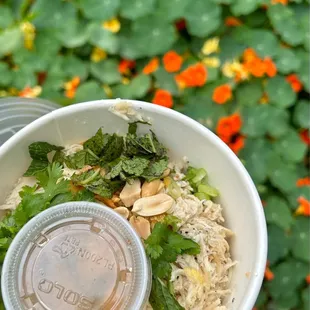 Green salad with white chicken