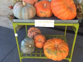 Regalo Bello