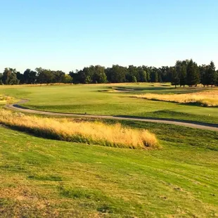 Fresno Golf Dragonfly Golf CLub 43369 Avenue 12 Madera, CA 93636 (559) 432-3020 https://dragonflygolfclub.com