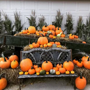 a pile of pumpkins and hay