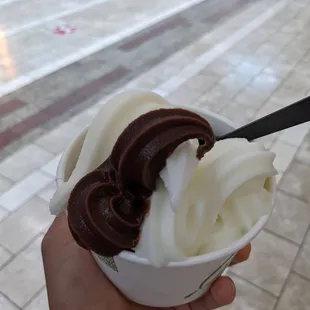 a hand holding a cup of ice cream