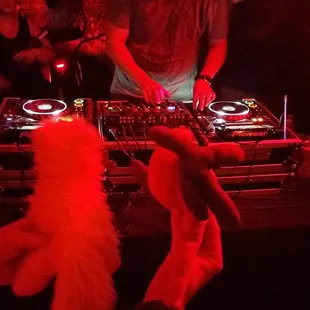 Spinnin