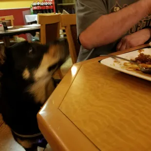 When do I get a bite?