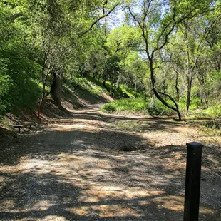 This is where the trails actually begin!