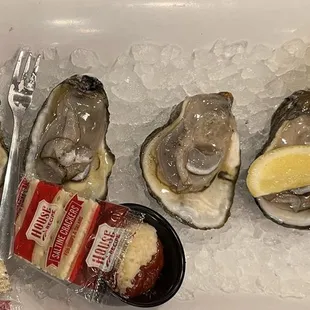 Fresh oysters