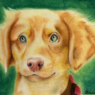Braidyn, age 12, Pastel