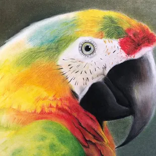 Allison, age 14, Pastel