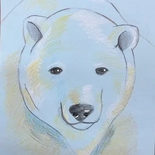 Age 11 , colored pencil