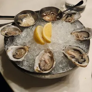 a plate of oysters