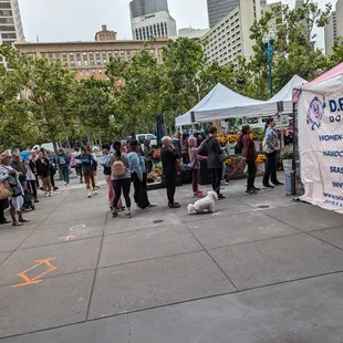 Line at 10:15 am 8/19/24