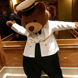 Princess Cruise Line Bear
