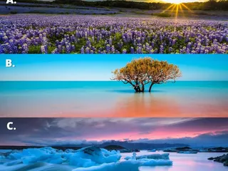 Destinations Travel Center