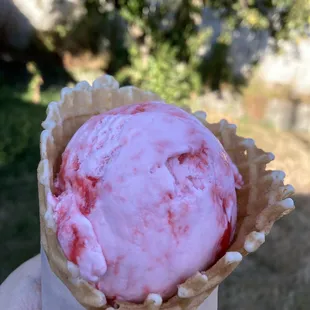 Peppermint Ice Cream