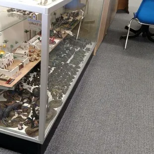 Our ever-evolving display case
