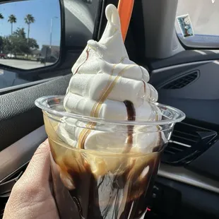 Turtle Sundae