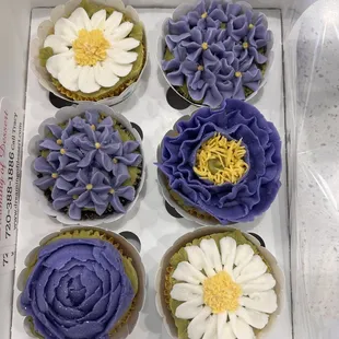 a dozen cupcakes in a box