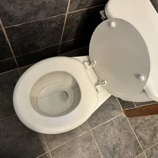 Dirty toilet.