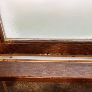Flies in the windowsill.