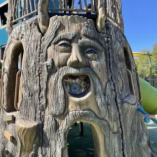 Cool looking man in the tree