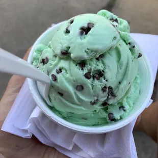 Green Mint Chip