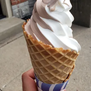Chocolate vanilla twist with a waffle cone