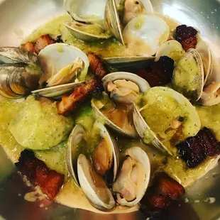 Fresh Clams