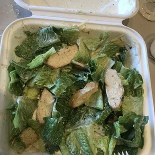 Cesar salad is simple but surprisingly one of the best I've had. Fresh chicken seasoned perfectly and the dressing is delicious!