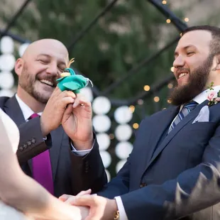 Love bird puppets explain the story of how we met thanks to our Bostonian friend Harry LaCoste.