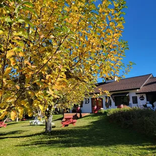  house and picnic tables