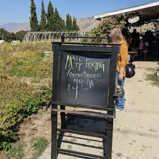 Apple picking sign