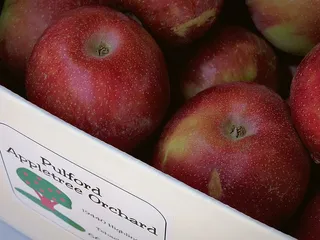 Pulford's Appletree Orchard