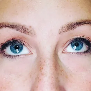 Eyebrow wax and tint