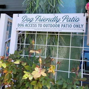 Pup friendly patio