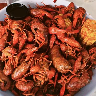 Some family had a tent set up outside the bar. This crawfish was soooo good