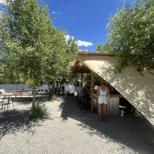 people sitting at a table under a tree
