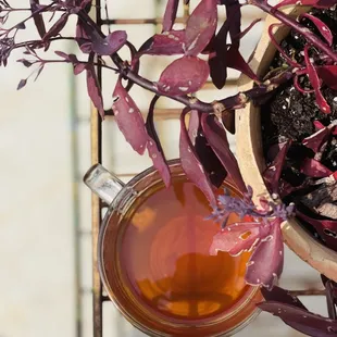 Cinnamon apple spice tea (decaf) served seasonally