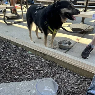 Tessy on the lower deck